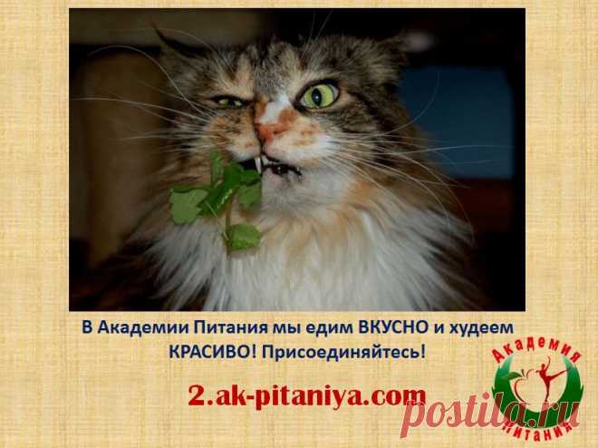 Научим питаться правильно и худеть красиво! Набор в Группу Поддержки продолжается! Записаться можно у тренера http://2.ak-pitaniya.com/