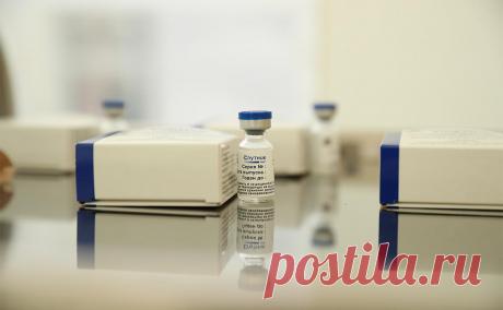 Вирусологи объяснили, почему «Спутник V» перестал защищать от COVID. За прошедшее время генотип коронавируса менялся, из-за чего снизилась эффективность первоначальной вакцины, заявили опрошенные РБК вирусологи. Они сошлись во мнении, что «Спутник V» следует обновлять под новые актуальные штаммы