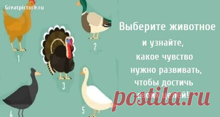 Выберите животное и узнайте, какое чувство нужно развивать, чтобы достичь своих целей!