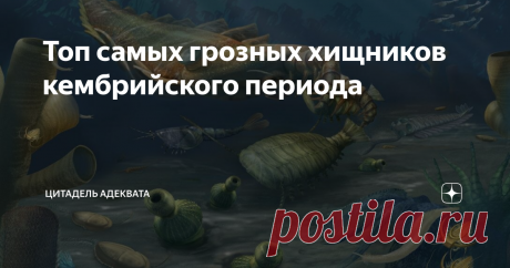 Топ самых грозных хищников кембрийского периода Статья о возникновении хищничества в докембрии, — одном из ключевых событий в биосфере, повлекших за собой знаменитый «кембрийский взрыв» — публиковалась на канале ранее. И данной предстоит продолжить тему. О хищниках. На самом же деле, конечно, об истории и закономерностях развития биосферы Земли. Но и о хищниках — тоже. Самых больших и грозных, ибо забраться на вершину пищевой пирамиды дано лишь избранным. Тем, кто вышеуказ...