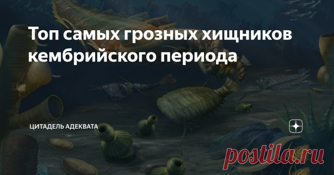 Топ самых грозных хищников кембрийского периода Статья о возникновении хищничества в докембрии, — одном из ключевых событий в биосфере, повлекших за собой знаменитый «кембрийский взрыв» — публиковалась на канале ранее. И данной предстоит продолжить тему. О хищниках. На самом же деле, конечно, об истории и закономерностях развития биосферы Земли. Но и о хищниках — тоже. Самых больших и грозных, ибо забраться на вершину пищевой пирамиды дано лишь избранным. Тем, кто вышеуказ...