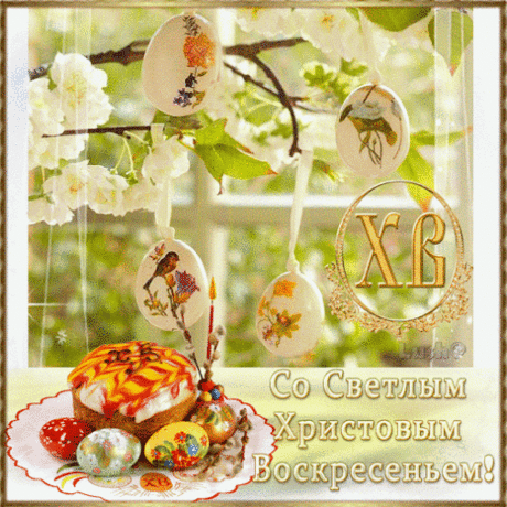 Живые фотографии - Community - Google+