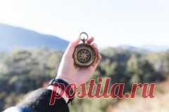 Какие растения помогут туристу или грибнику ориентироваться на местности? | Растения