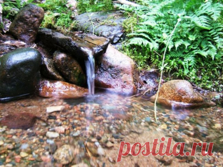 Вода в вольских родниках не соответствует нормам