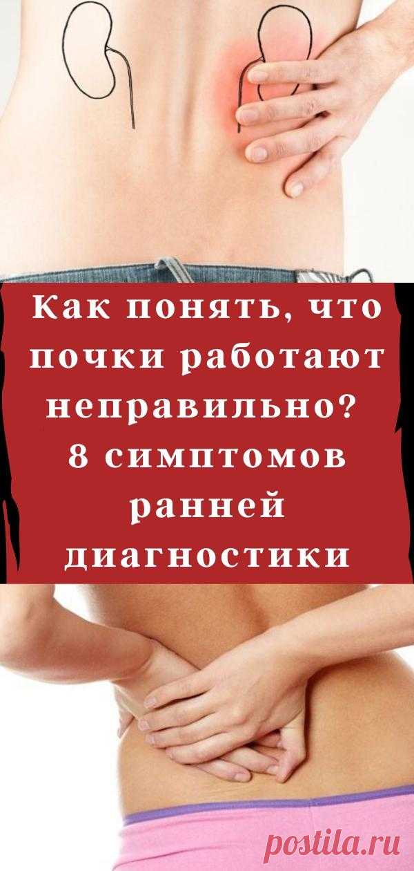 Как понять, что почки работают неправильно? 8 симптомов ранней диагностики