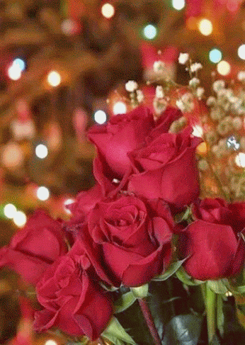 Ирина Пустовит – Google+