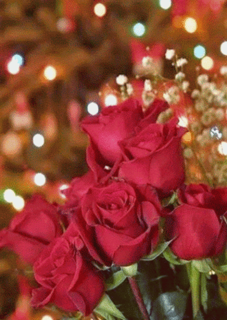 Ирина Пустовит – Google+
