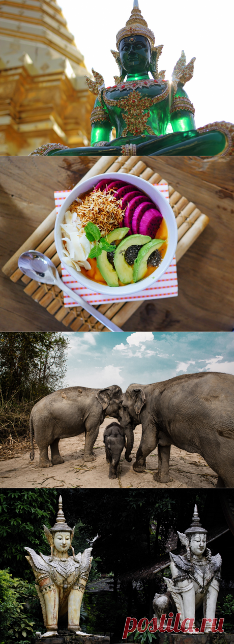 Если вы пресытились шумными ночными барами и пляжным отдыхом, то стоит обратить внимание на север страны с горной местностью. В 700 км от Банкгока в предгорьях Гималаев вы найдете удивительный город Чиангмай, который является вторым по численности населения, культурным и религиозным центром Таиланда.