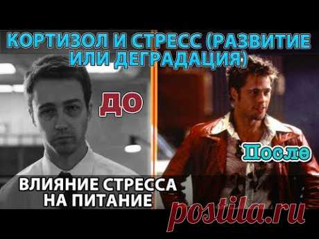 Кортизол и 32 способа управлять им; Когда стресс развивает и активирует способности. Роль в питании - YouTube

📌🍏 Продолжаю раскрывать тему биохимии организма, гормонов и нейромедиаторов (их роили и воздействию на поведение и тело человека), налаживанию поощрительной и дофаминэргической систем организма, роли всего этого в питании и питания во всем этом и т.д.

✅Подписывайтесь на канал: https://www.youtube.com/channel/UCJnCVSVFXyV5cW8D9tpRzBA?sub_confirmation=1