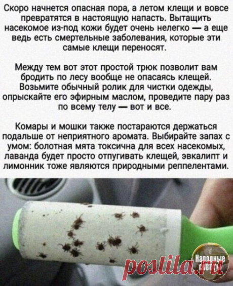 Мой Мир@Mail.Ru