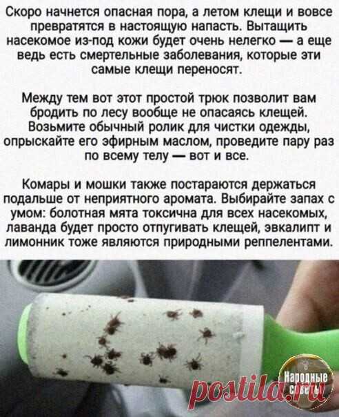 Мой Мир@Mail.Ru