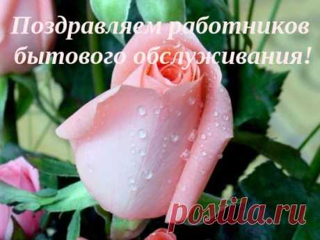 Поздравления на День работников бытового обслуживания | Стихи дари на праздник
15 марта - День работников бытового обслуживания населения и ЖКХ. Здесь поздравление мастеру на все руки, сапожнику, портному, часовщику, работнику химчистки.