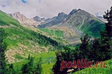 Катунский биосферный заповедник, Алтай, Россия.