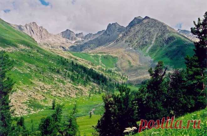 Катунский биосферный заповедник, Алтай, Россия.