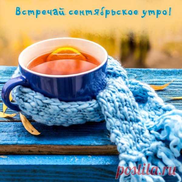 Картинки доброе утро все будет хорошо красивые осенние (62 фото)