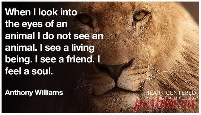 Heart Centered Rebalancing added a new photo. - Heart Centered Rebalancing
