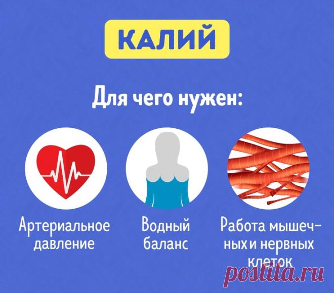 5 полезных веществ, которых чаще всего не хватает нашему организму 
Из-за современного ритма жизни, стрессов и несбалансированного питания мы часто испытываем дефицит жизненно важных микроэлементов. А они необходимы для правильного функционирования организма. Мы собр…
