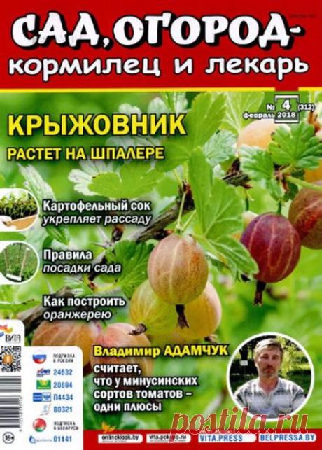 Сад огород кормилец и лекарь (№4 2018) Читать и скачать журналы онлайн