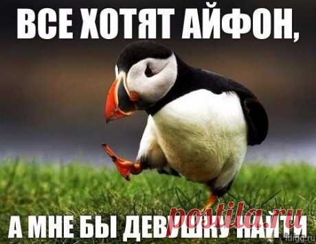 Сохранённые фотографии | 133 фотографии