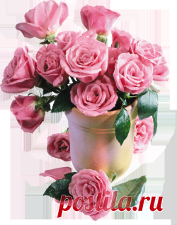 разные красивые детали на прозрачном фоне - Поиск в Google