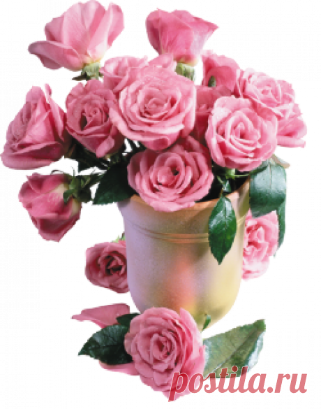 разные красивые детали на прозрачном фоне - Поиск в Google