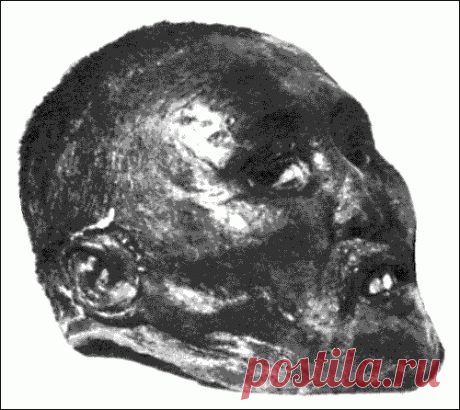 "Голова монгола" в Кунсткамере: самый мистический экспонат музея | Сухарева башня На протяжении последних нескольких столетий, когда в Россию и Европу хлынули древности из Африки и Востока, музеи крупных городов превратились в огромные хранилища древних артефактов. При этом многие из них представляют серьезную опасность мистической историей своего происхождения. Голова в формалине Одним из самых больших любителей различных диковинок был, как известно, основатель кунсткамер...