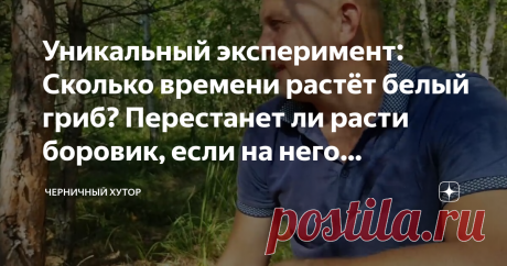 Уникальный эксперимент: Сколько времени растёт белый гриб? Перестанет ли расти боровик, если на него посмотрит человек ?
