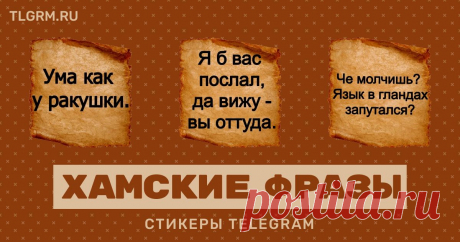 Набор стикеров «Хамские фразы» — 101 штук, 990353 установок. Добавьте набор в Telegram нажатием одной кнопки.