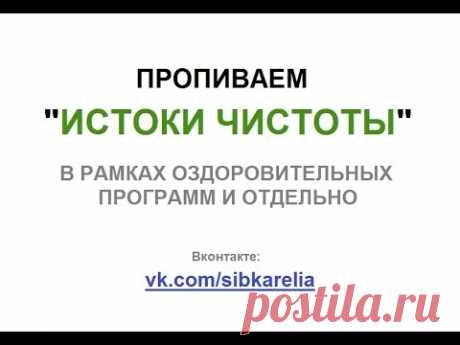 Истоки чистоты в рамках оздоровительных программ Сибирского здоровья