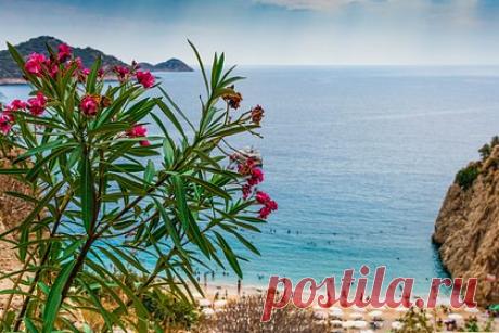 Названы доступные для россиян страны без виз с прямыми рейсами в 2023 году. Российским путешественникам напомнили о странах для летнего отдыха, в которые в 2023 году можно улететь прямыми рейсами и без виз. Так, среди доступных направлений названы Алжир, Венесуэла, Египет, Израиль, Индия, Китай, Куба, Мальдивы, Марокко, ОАЭ, Сейшелы и другие страны.