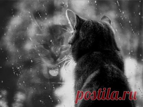 Главное, чтобы дома кто-то ждал – Фитнес для мозга