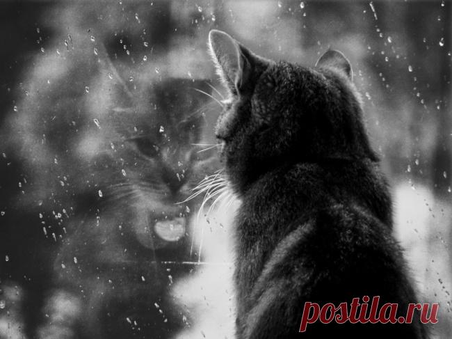 Главное, чтобы дома кто-то ждал – Фитнес для мозга