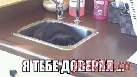 Мой Мир@Mail.Ru