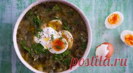 Не переборщить: рецепты самых вкусных и любимых борщей — Домашняя кулинария