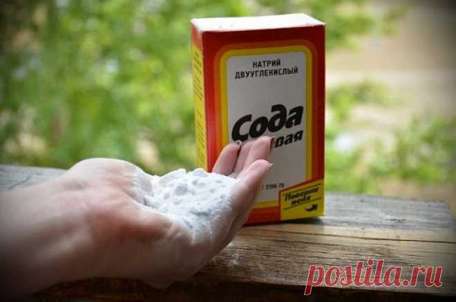 Гидра. Часть 3