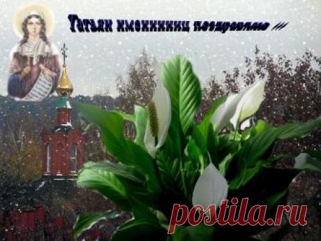 Плейкаст «Татьянин день»