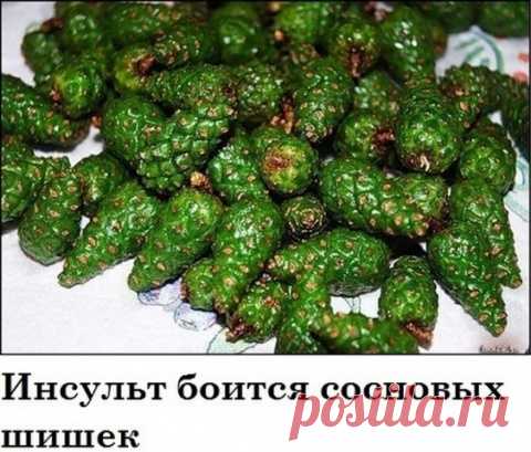 Будем здоровы