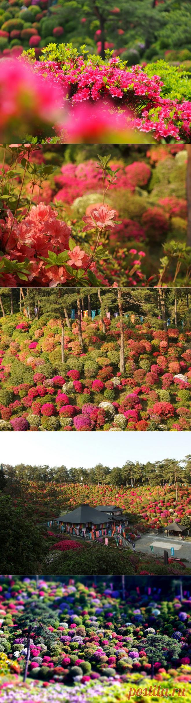 Долина азалий с буддийским храмом