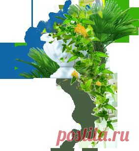 Условия продажи и оплаты - Донагрокурорт: санатории "Тихий Дон" п. Лазаревское, "Дон" и "Руно" г. Пятигорск