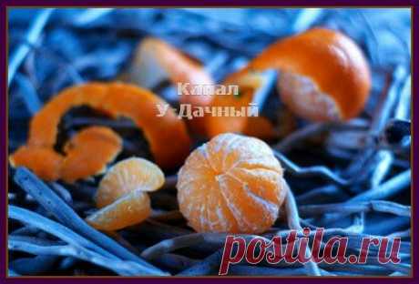 Использование мандариновых корок | Делимся советами