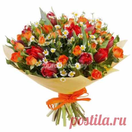 (40) Одноклассники