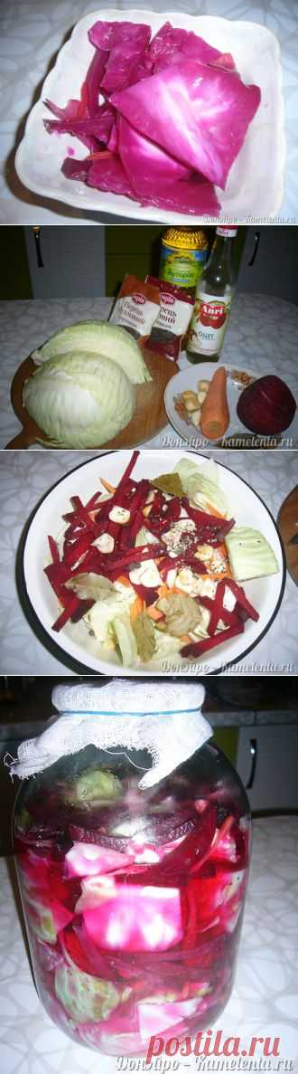 Капуста по Гурьевски