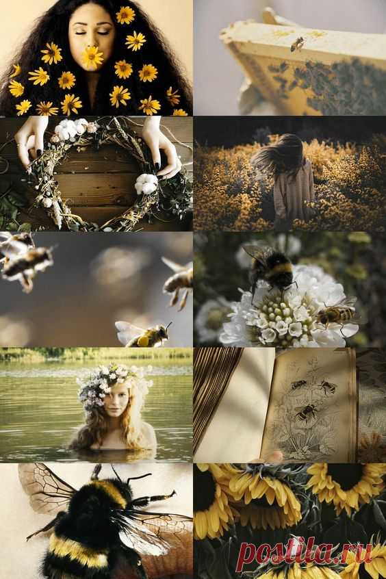 (2) Pinterest • Всемирный каталог идей