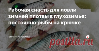 Рабочая снасть для ловли зимней плотвы в глухозимье: постоянно рыбы на крючке Эта отличная оснастка прекрасно зарекомендовала себя при ловле зимней плотвы в гухозимье. Показывает просто отличный результат!
Советую в этом сезоне воспользоваться и попробовать порыбачить на неё плотву!
Суть и принцип заключается на медленно тонущей наживке.
Сделать её самому в домашних условиях не составит большого труда и не займёт много времени. Чтобы руки на вымораживать на морозе лучше так