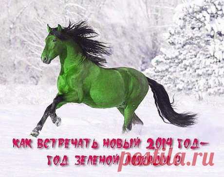 2014 ГОД - ГОД ЗЕЛЕНОЙ ЛОШАДИ


По восточному китайскому календарю Год Лошади вступит в свои права с 31.01.2014 и продлится по 18.02.2015 г.

Из Лошадей возможных цветов Зеленая Лошадь самая прыткая в приносимых ею изменениях. Потому в год Зеленой Деревянной Ло-шади человек должен быть особенно осмотрителен, готов к неожи-данным событиям и, желательно, иметь заранее подготовленные запасные варианты действий.