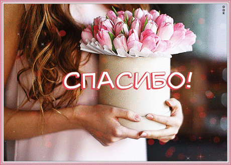 Я благодарности не скрою
За твои добрые дела.
Пусть небеса тебе откроют
Ворота счастья и тепла.