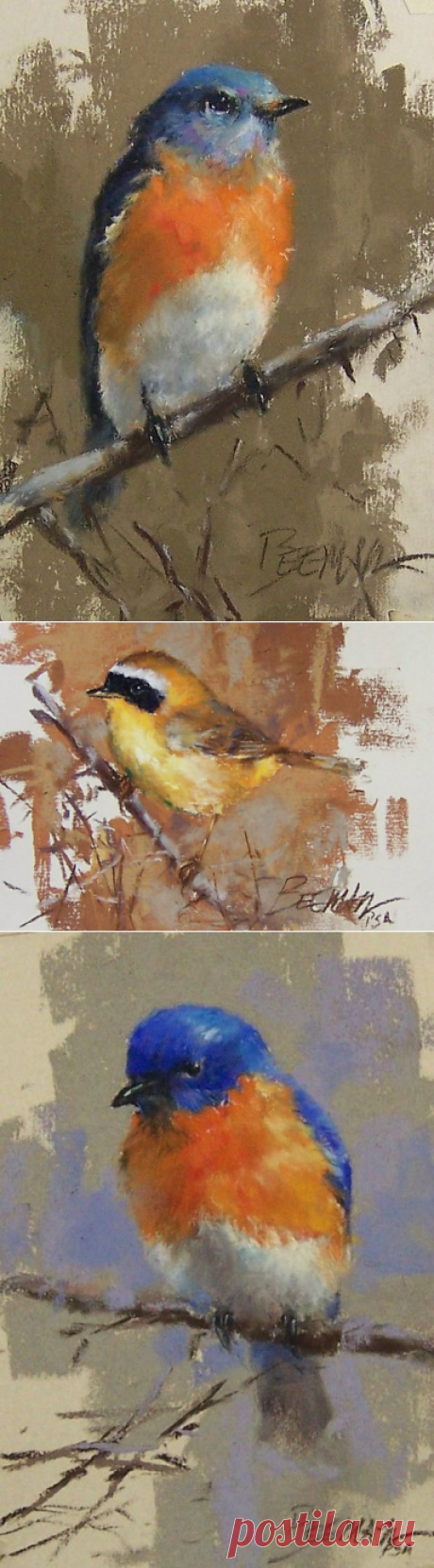 АМЕРИКАНСКИЙ ХУДОЖНИК MIKE BEEMAN. ПТИЧКИ (РИСУНОК ПАСТЕЛЬЮ).