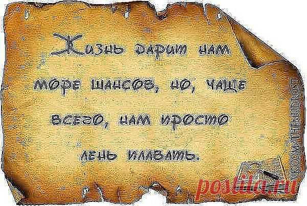 Жизнь даёт нам шанс...