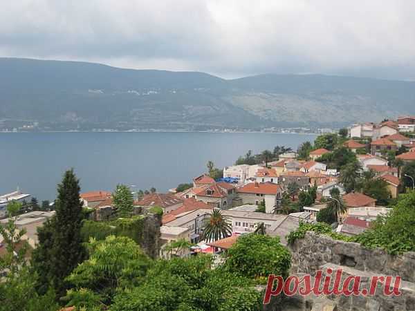 Herceg Novi