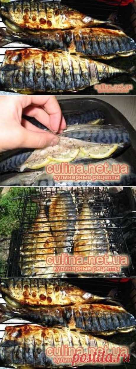 Шашлык из скумбрии – пошаговый рецепт с фото
